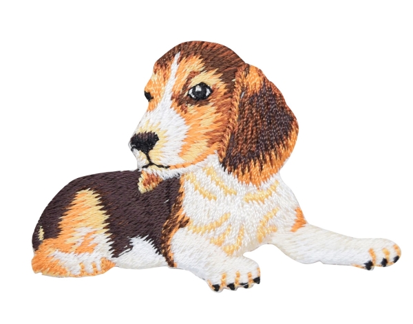 Beagle - Puppy Dog