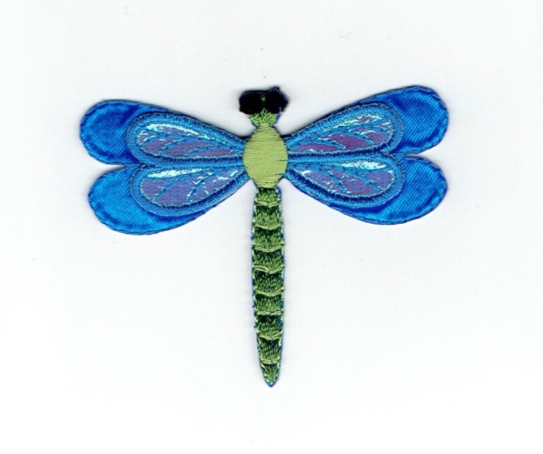 Small Blue Layered Dragonfly