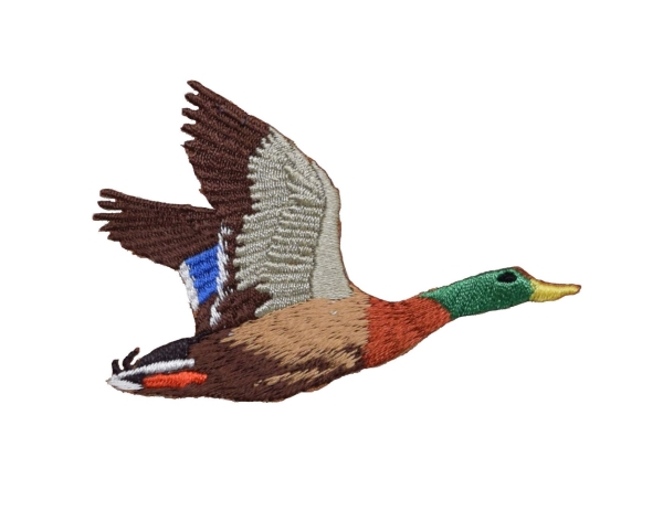 Flying Mallard Duck - Right