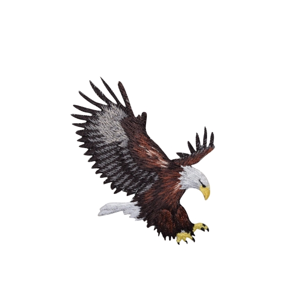 American Bald Eagle Landing