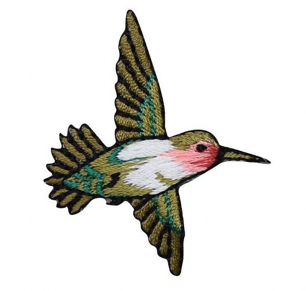 Red-throat Hummingbird Flying Right
