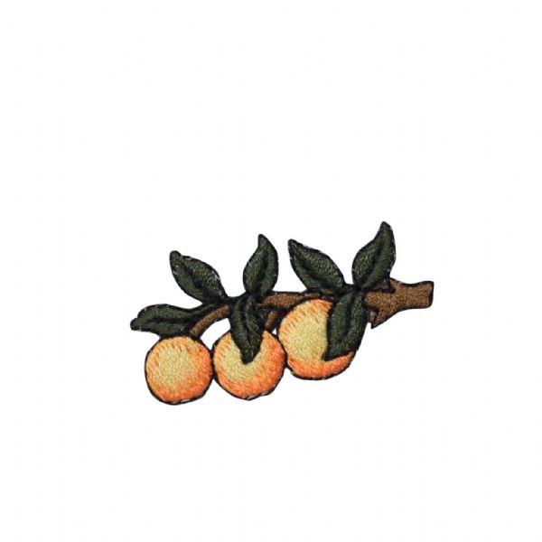 Three Oranges on Branch