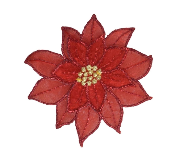 Small Red Poinsettia Flower