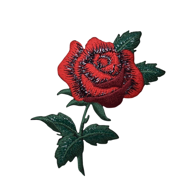 Single Red Rose with Open Petals and Stem