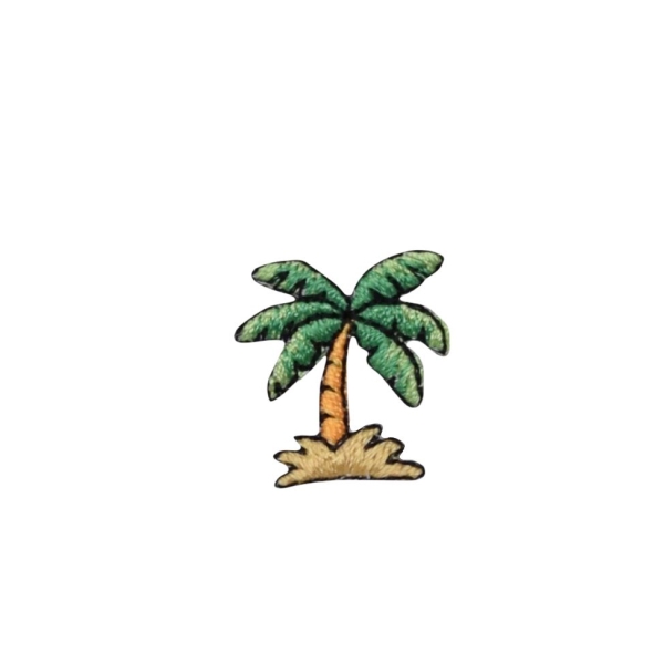 Small Tropical Palm Tree