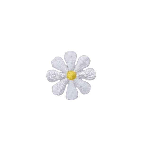 Small White Daisy Flower
