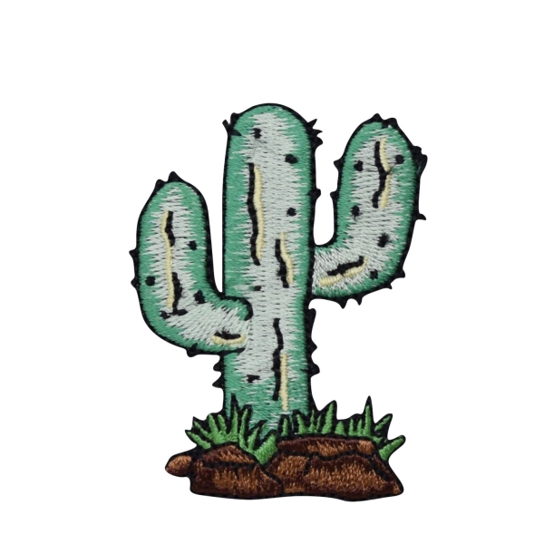Saguaro Cactus with Rocks