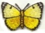 BUTTERFLY YELLOW AND BLACK IRON ON PATCH 240141-A