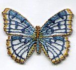 Butterfly - Blue/White