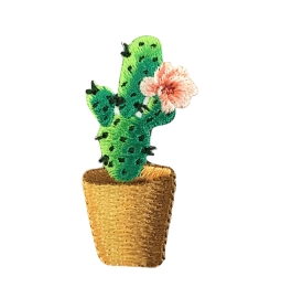 Cactus - Pink Flower