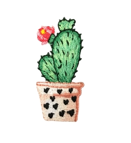 Cactus - Pink Flower