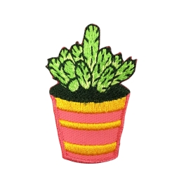 Cactus - Pink/Orange Pot