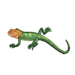 Shiny Green/Brown Lizard