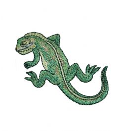 Shiny Green Iguana