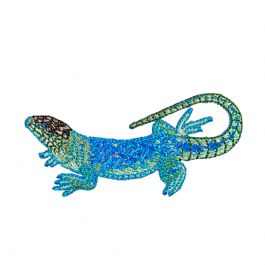Shiny Blue Lizard