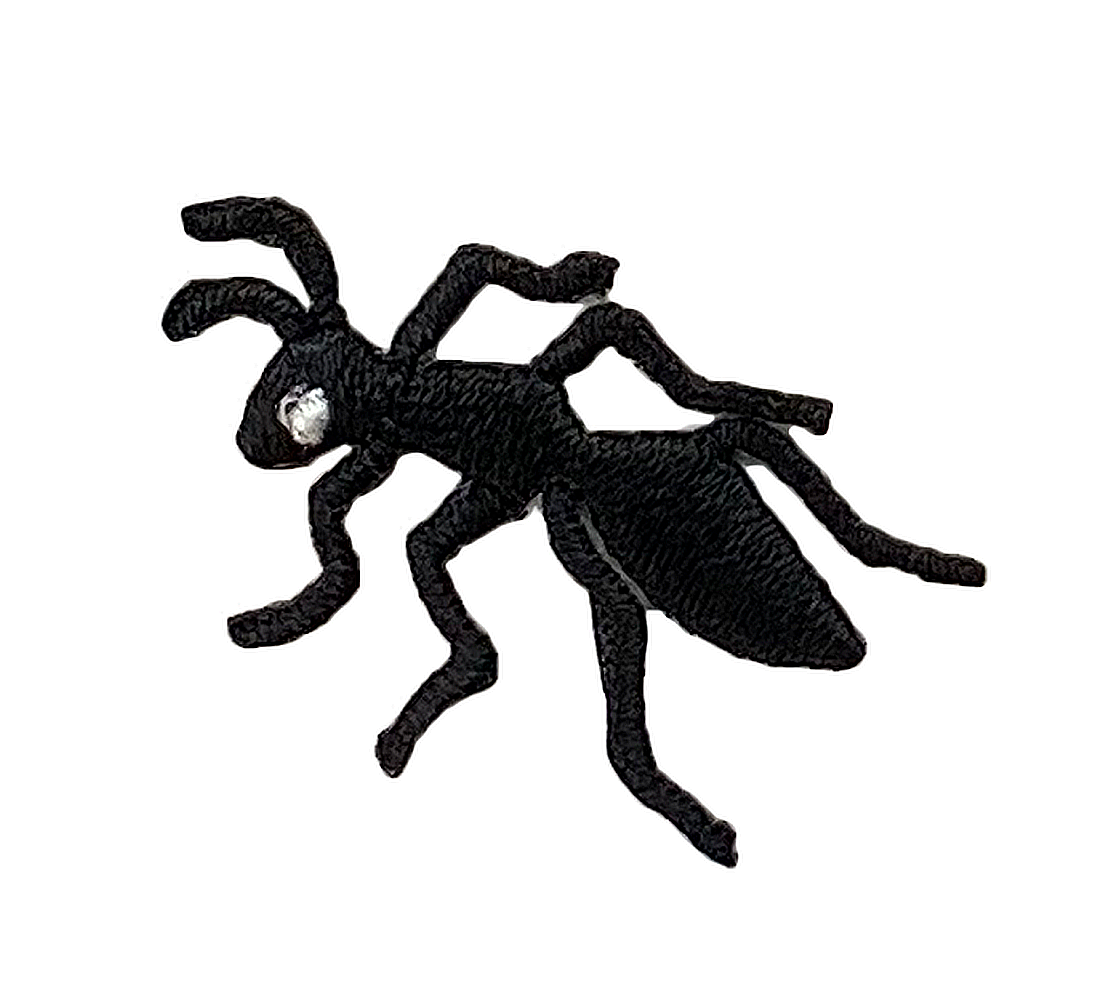 Black Ant - Left