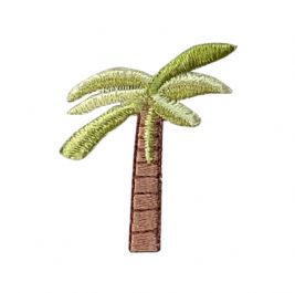 Palm Tree