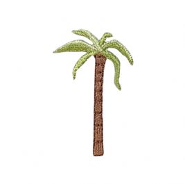 Palm Tree