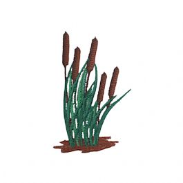 Bunch of Cattails 