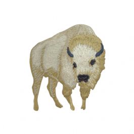 White Buffalo American Bison