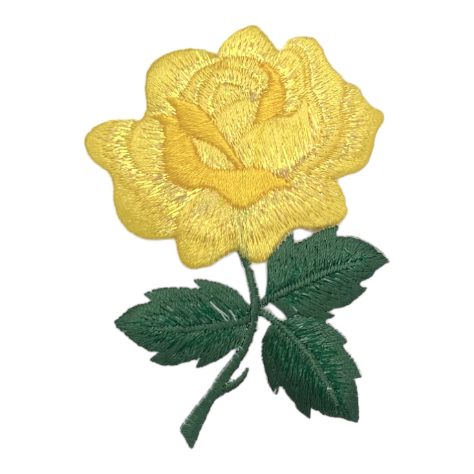 Yellow Rose with open Petals and Stem