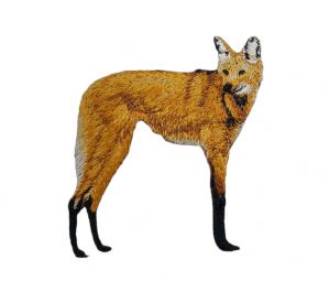 Maned Wolf