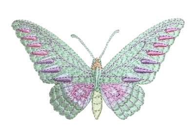 Butterfly/Moth - Green/Pink