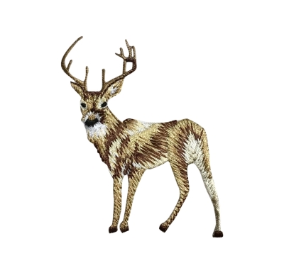 White Tail Deer - Large