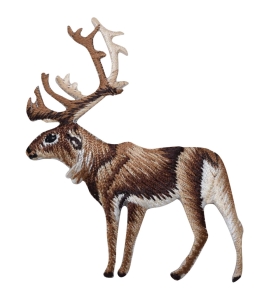 Natural Caribou Elk Deer
