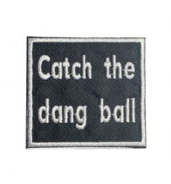 Catch the Dang Ball