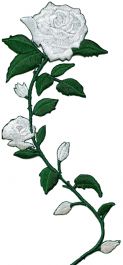 White Roses Curved Stem Facing Left