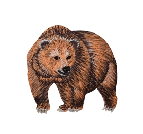 Brown Kodiak Grizzly Bear