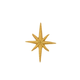 Gold Nativity Star 1.25