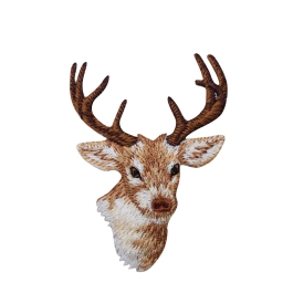 Natural Buck Mule Deer Head