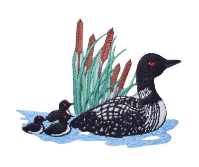 Divers Loon - Chicks/Cattails