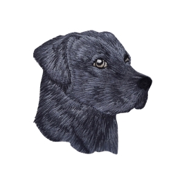 Black Labrador Head