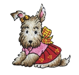 Terrier/Dog With Outfit