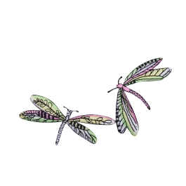 Two Dragonflies - Lime Green/Pink