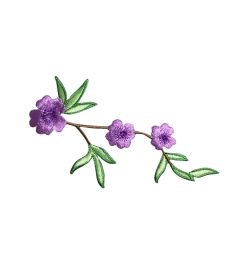 Purple Flower Vine