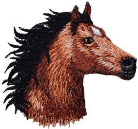 Horse Head Facing Right