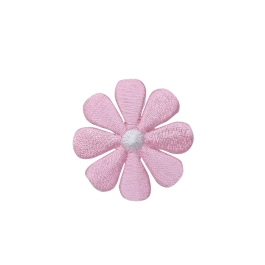 Medium Light Pink Daisy Flower