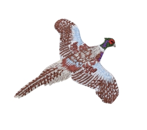Ring-necked Pheasant Flying