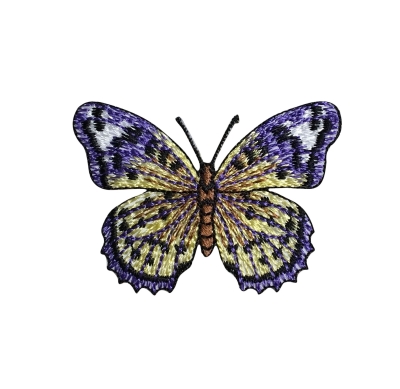 Purple/Yellow Butterfly