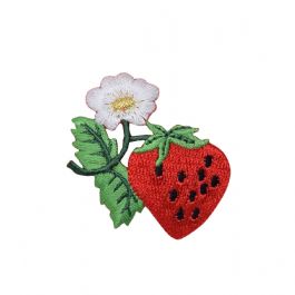 Single Strawberry with White Flower Blossum