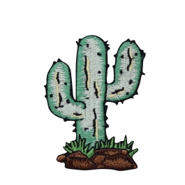 Saguaro Cactus with Rocks