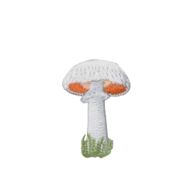 White Mushroom with Grass