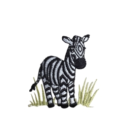Zebra In Grass